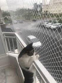 Resim 2,50 X 6 Metre Kedi Filesi Montaj Mağzemeli Kedi Koruma Filesi 1 