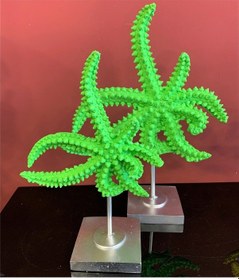 Resim BY ARİ İKİLİ DENİZ YILDIZI DO330-4 