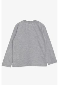 Resim Breeze Erkek Bebek Uzun Kollu Tişört Ayıcık Baskılı Yazı Nakışlı 9 Ay-3 Yaş, Gri Melanj Gri Melanj 