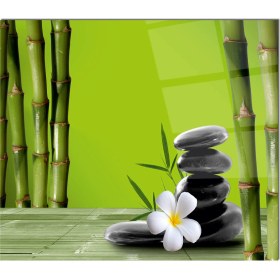 Resim Olinpa Cam Ocak Arkası Koruyucu | Bambu 