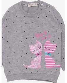 Resim Breeze Kız Bebek Sweatshirt Mutlu Kedicikler 4 Ay-1.5 Yaş, Gri Melanj Gri Melanj 