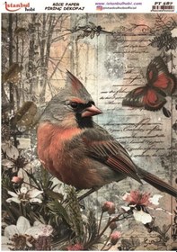 Resim Pirinç Dekopaj Kağıdı 30x42cm Pt-587 