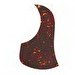 Resim Alice Akustik Gitar Pickguard A025E 