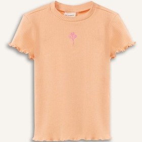 Resim DeFacto Kız Bebek Bisiklet Yaka Çiçekli Fitilli Kaşkorse Kısa Kollu Tişört B7544A525SMOG172 