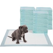 Resim Köpek Tuvalet Çiş Pedi 100'lü 33 x 45 CM 