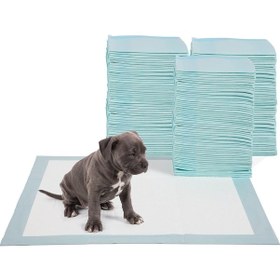 Resim Köpek Tuvalet Çiş Pedi 100'lü 33 x 45 CM 