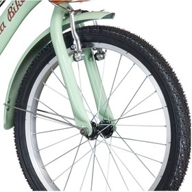 Resim Cesa Bisiklet Cesa Bikes Bagajlı Demir Çamurluk 20 jant 7-10 Yaş Pastel YEŞİL Çocuk Bisikleti 