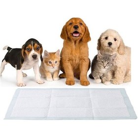 Resim Dr.Comfort Kedi Köpek Çiş Pedi 30'lu 60 x 90 CM 