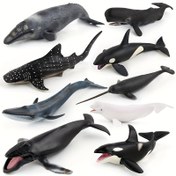 Resim Mavi balıklar, balina balıkları, narwhal ve orka dahil balina modelleri. 