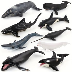 Resim Mavi balıklar, balina balıkları, narwhal ve orka dahil balina modelleri. 