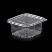 Resim Anı Plastik Sızdırmaz Kap 500 gr 10 Adet 