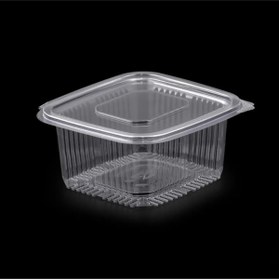 Resim Anı Plastik Sızdırmaz Kap 500 gr 10 Adet 