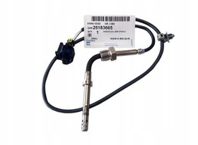 Resim Chevrolet Captiva C100 Antara 2.0D Sıcaklık Sensörü 