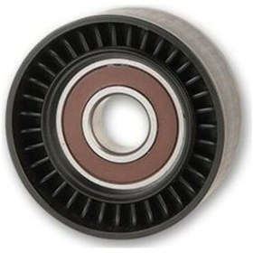 Resim Clıo Megane Alternatör V Kayıs Gergı Rulmanı Serkar 