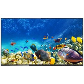 Resim BEKO B40K 580 HOTEL TV Full HD & HD TV 