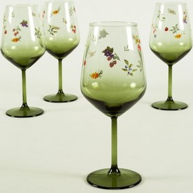 Resim Rakle Jardin 4'lü Su Kadehi Seti 490 Cc Renkli 