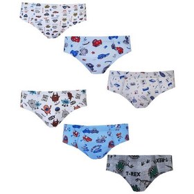 Resim Hepsine Rakip Tutku İç Giyim 6'lı Paket Erkek Çocuk Renkli Empirme Elastan Slip Külot Tec0255 Çok Renkli 