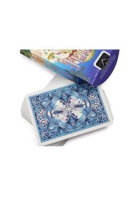 Resim Bicycle Flying Machines Premium Oyun Kağıdı Koleksiyonluk İskambil Kartları Destesi 