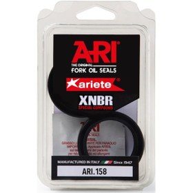 Resim Trıumph Tıger Xc / A / X 800 2015-2019 Ön Amortisör Keçe Ariete Mtnm 