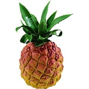 Resim Nino NINO595 Fruit Shaker Pineapple Shaker 