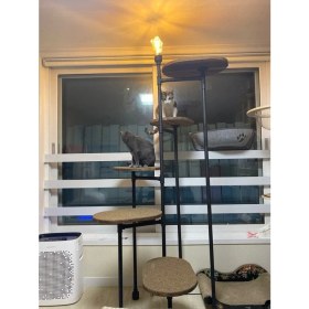 Resim Blbn Design Dekoratif Borudan Kedi Merdiveni 