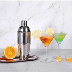 Resim Epinox Shaker Çelik (750 Ml) 