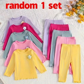 Resim Rastgele Set | 2 Parça Kız Çocuk Sonbahar/Kış Çiçek Desenli Uzun Kollu Tişört ve Pantolon 0-6 Yaş İçin Yumuşak Esnek Malzeme Evde ya da Dış Mekanda 