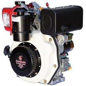 Resim Goldmoto GM178FE-C 7 Hp Marşlı Krank Mili Kamalı Dizel Motor 