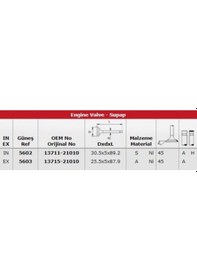 Resim Gunes 5602-5603 Subap Takımı Yarıs 1,3 2002- 1nzfe 2nzfe Motor In 8 / Ex 8 