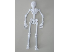 Resim Büyük Boy Iskelet Sallanan (20 Cm) Dmrz Home 