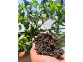 Resim 70 Litre Bitki Toprağı, Fideleme, Saksı Toprağı Iç Dış Mekan Toprak Çiçek Toprağı 
