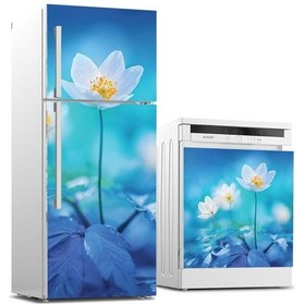 Resim Buzdolabı Ve Bulaşık Makinası Beyaz Eşya Sticker Kaplama Anemon 