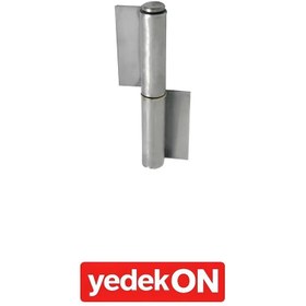 Resim Saçlı Menteşeler 