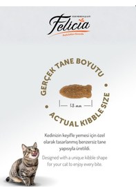 Resim Somonlu Kolajen Destekli Hipoalerjenik Düşük Tahıllı Yetişkin Kedi Maması 5kg 