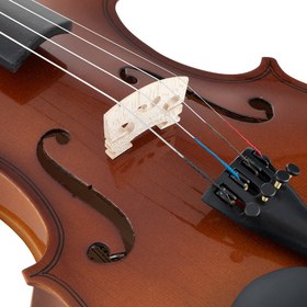 Resim Vanetta VL-1A 3/4 Parlak Cila Keman (10-12 Yaş) 