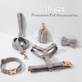 Resim Dog Collar Named Light Gray Velvet Collar 363701 - 5pcs set / S 