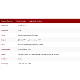 Resim SIMGA SİMGA 0-6 Bar Çap Ø100 mm Arkadan Bağlantılı Kuru Tip Manometre 