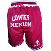 Resim Merion Basketbol Şort Çok Renkli 