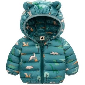 Resim Yesil Dinazor Baskili Puffy Mont - Yesil Dino Pufudik Mont Yeşil 
