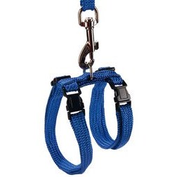 Resim Beeztees Kedi Göğüs Tasması ve Gezdirme Kayışı, 130cm, Mavi 