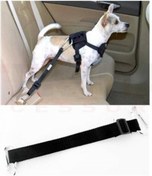 Resim Araç İçinde Köpek Bağlama Kemeri Siyah 