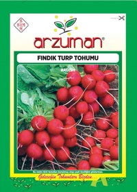 Resim Fındık Turp Tohumu 10 GR 0Rt 900 Ad Tohum N111601 