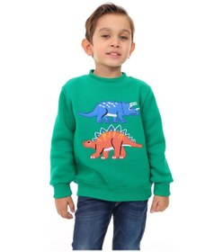 Resim Toontoy Kids Toontoy Erkek Çocuk Nakışlı Sweatshirt Çimen Yeşili 