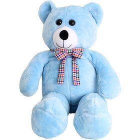 Resim Peluş Ayıcık Bera - Antplsera04 - Anatoya 