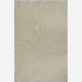 Resim Concepta Touch T07 Bej Halı 80x150 cm 