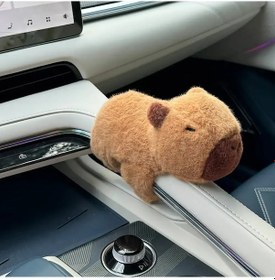 Resim Capybara Araba İç Merkezi Konsol Görüntüler Kolu Silecek Diğer 