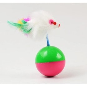 Resim Kedı Oyun Topu Farelı Hacı Yatmaz 