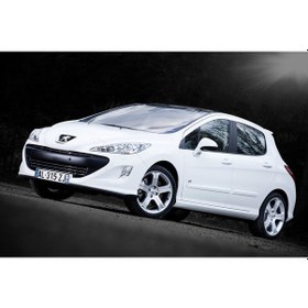 Resim Coil-Ex Peugeot 308 09.2007 Sonrası Spor Yay 30 - 30 Mm 