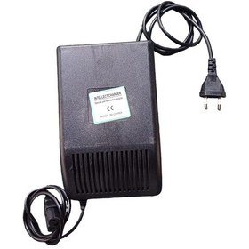 Resim 72v 20ah Elektrikli Bisiklet Şarj Cihazı 