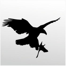 Resim Folyo Sticker Kartal Adkpquy625 50cm Uzunluk Siyah 